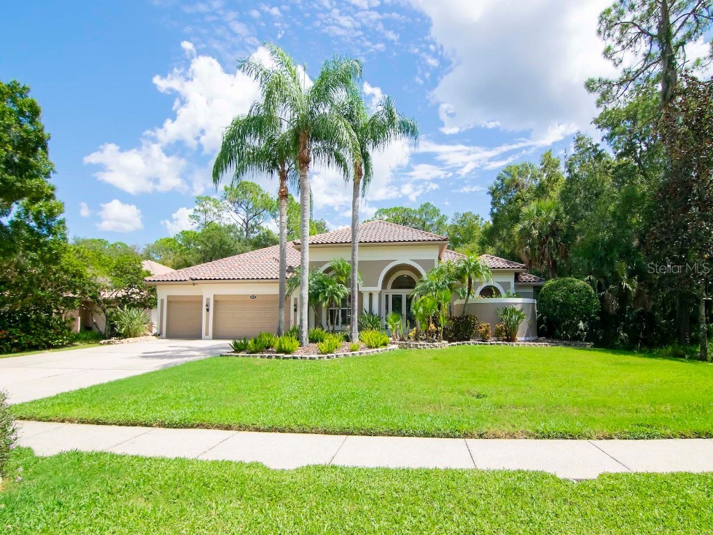 4919 Turtle Creek Trail Oldsmar FL 34677 U8212867 image1