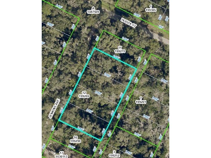 492 Jenkins Avenue Masaryktown FL 34604 T3410524 image1