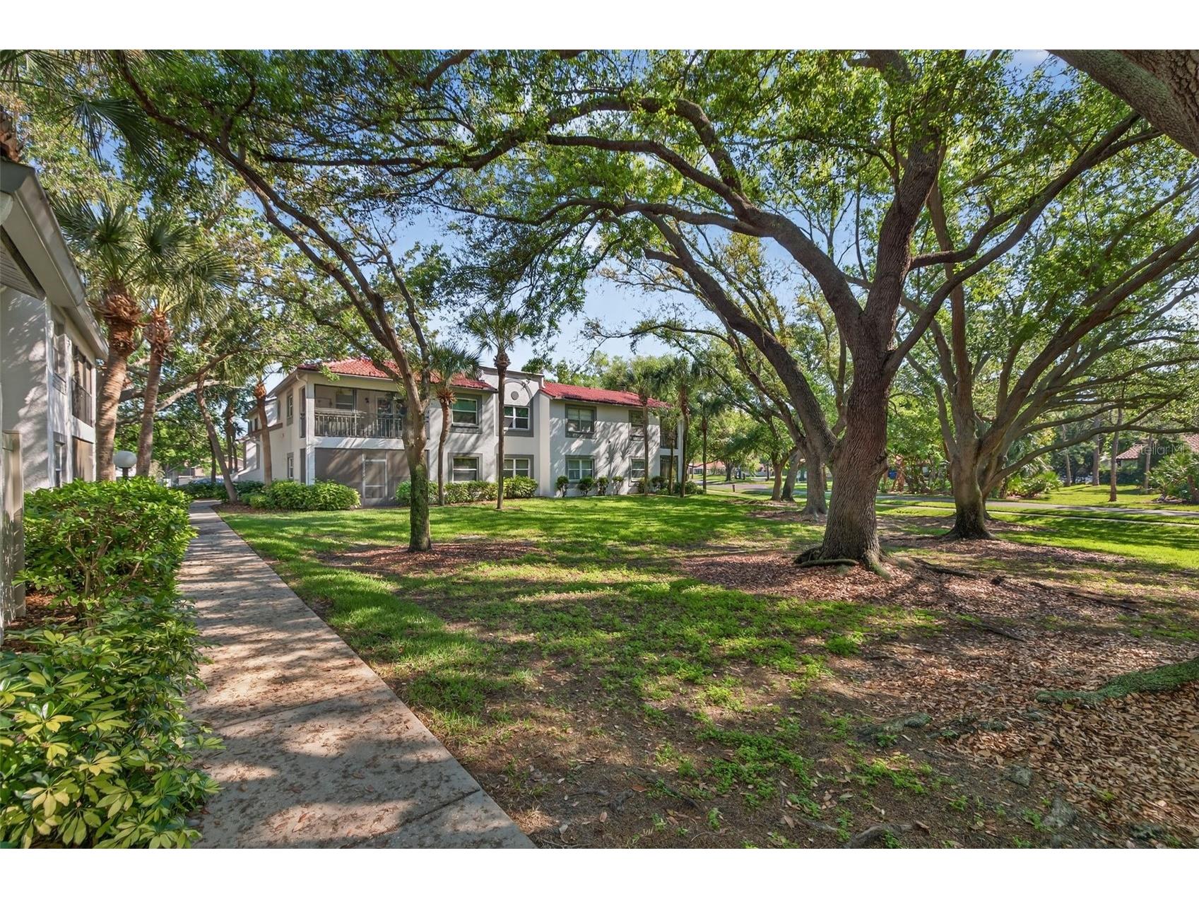 492 Santa Cruz Place NE #E Saint Petersburg FL 33703 TB8493396 image23