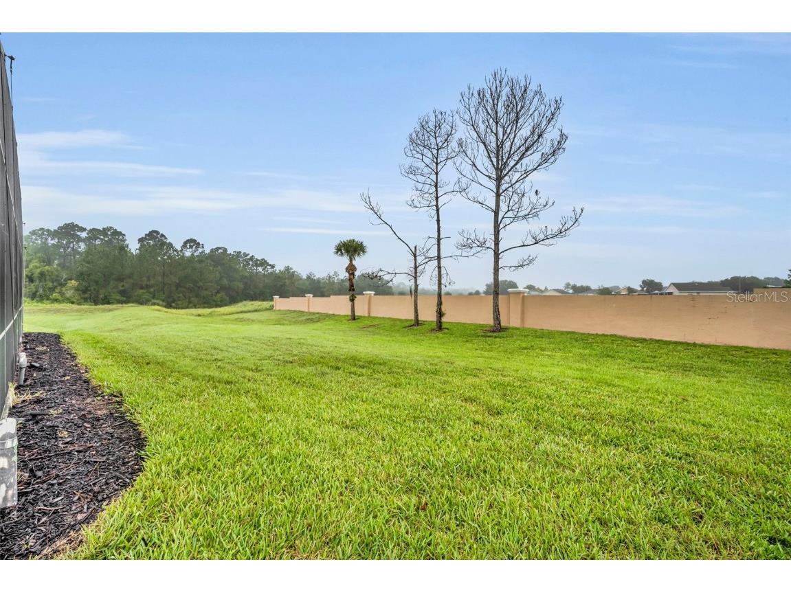 492 Tupelo Circle Davenport FL 33897 O6232513 image77