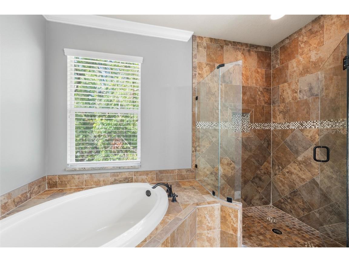 4920 Anniston Circle Tampa FL 33647 TB8397020 image24