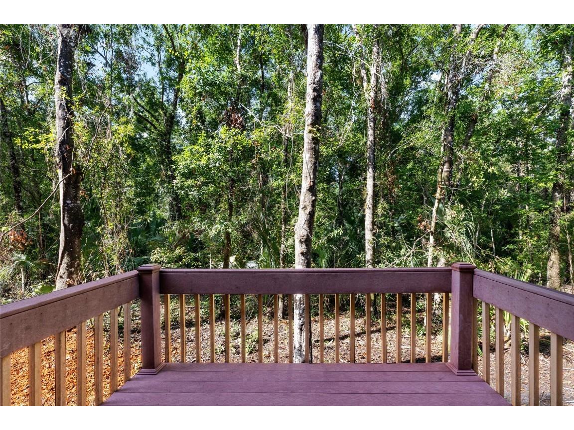 4920 Anniston Circle Tampa FL 33647 TB8397020 image35