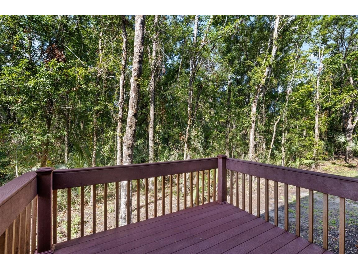 4920 Anniston Circle Tampa FL 33647 TB8397020 image4