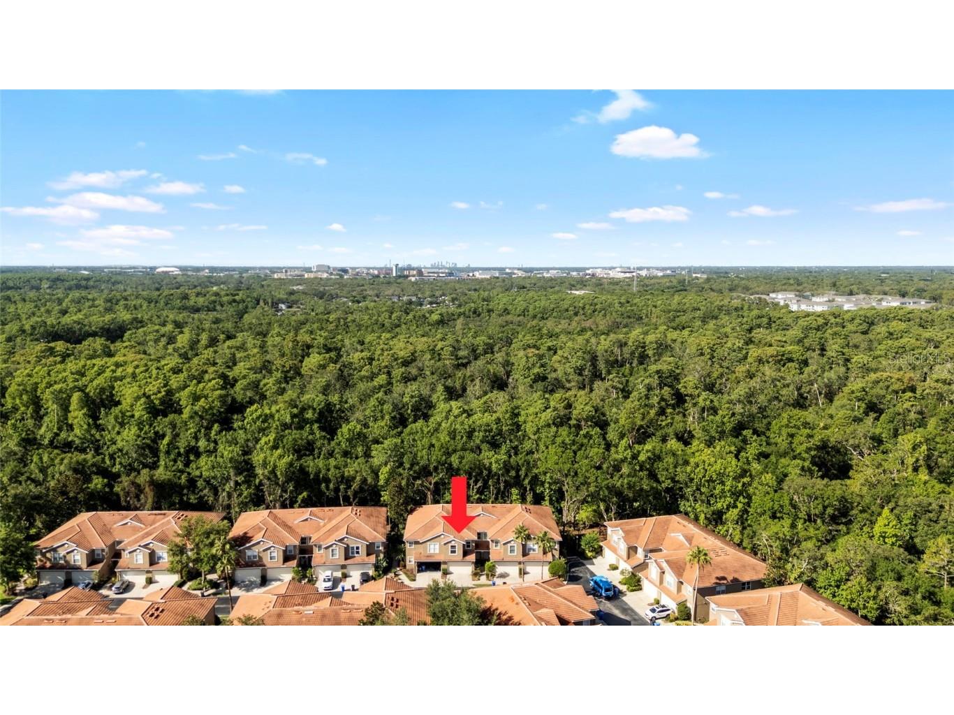 4920 Anniston Circle Tampa FL 33647 TB8397020 image42