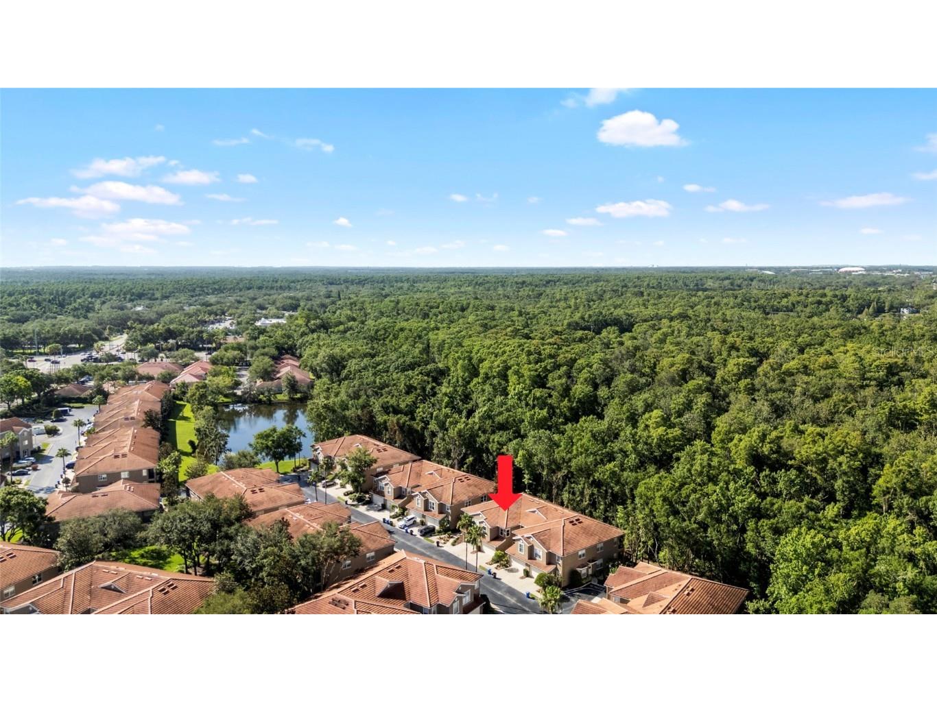 4920 Anniston Circle Tampa FL 33647 TB8397020 image43