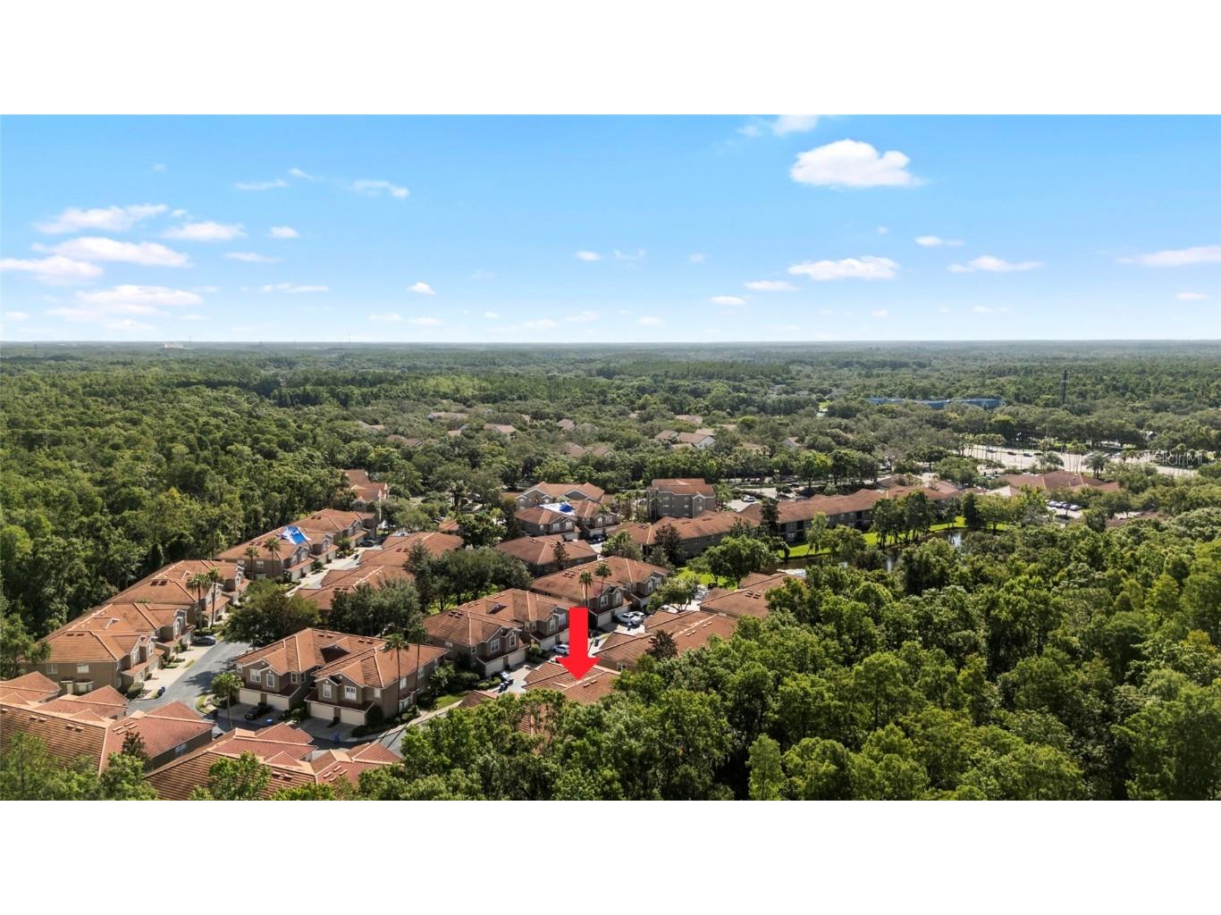 4920 Anniston Circle Tampa FL 33647 TB8397020 image44