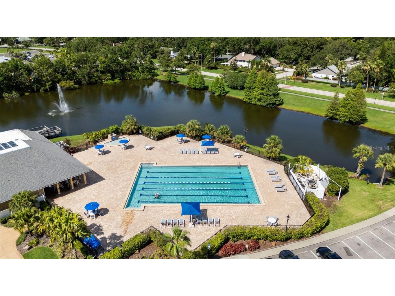 4920 Anniston Circle Tampa FL 33647 TB8397020 image5