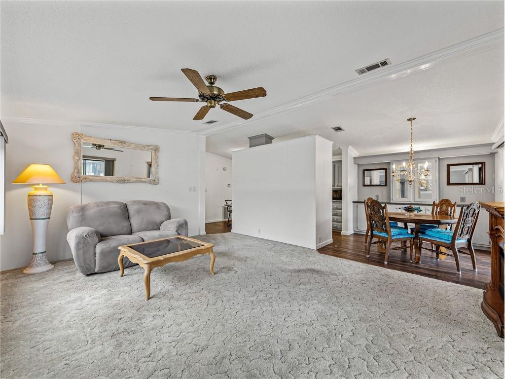 4920 Blanco Drive Zephyrhills FL 33541 TB8438222 image11