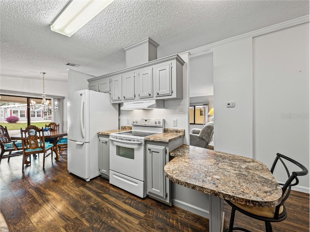 4920 Blanco Drive Zephyrhills FL 33541 TB8438222 image15