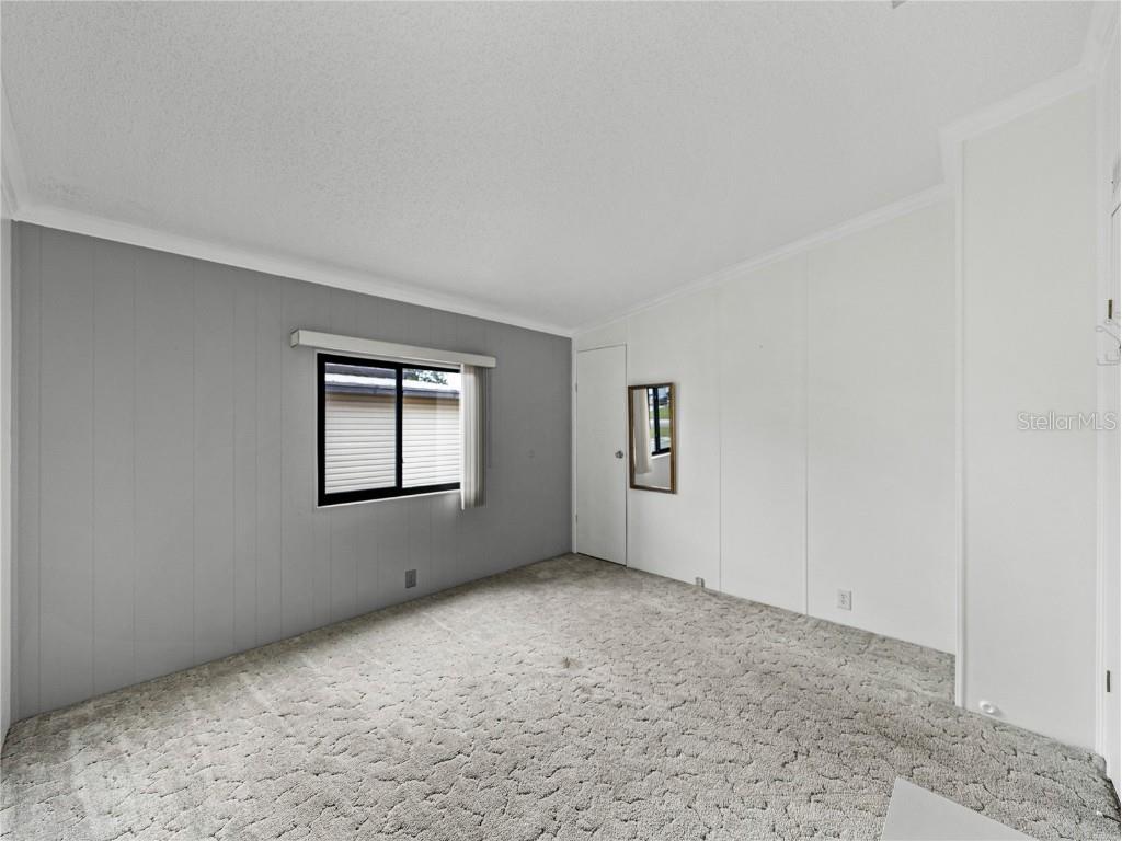 4920 Blanco Drive Zephyrhills FL 33541 TB8438222 image28