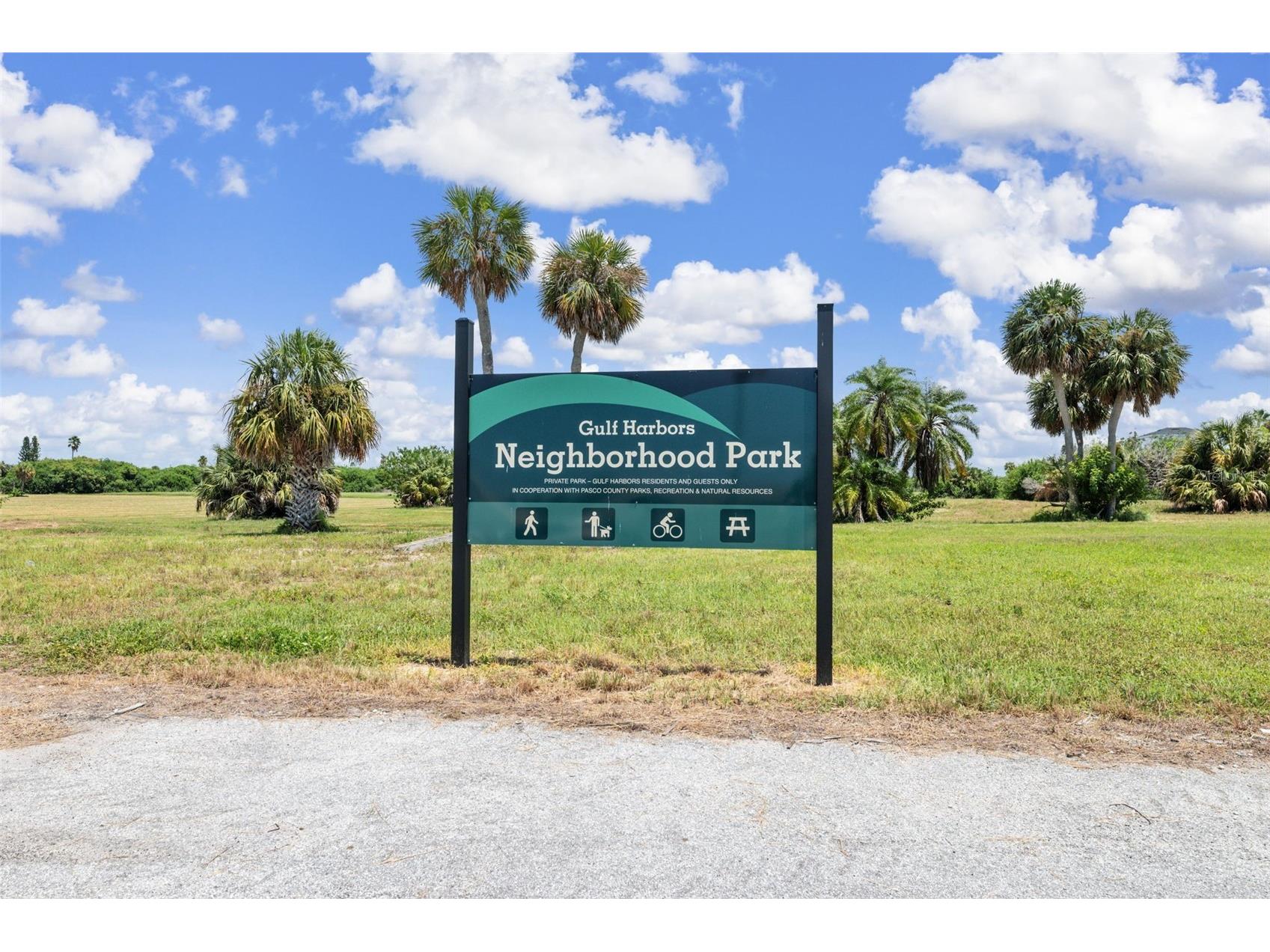 4920 Bonito Drive New Port Richey FL 34652 W7878217 image22