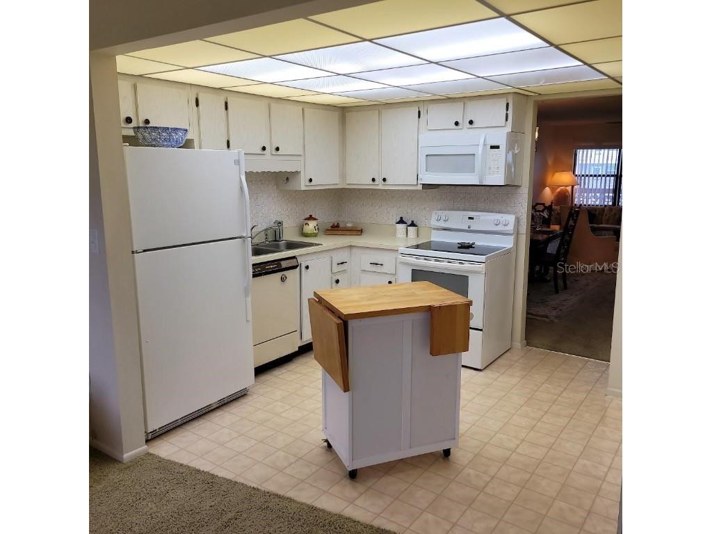 4920 Locust Street NE #203 Saint Petersburg FL 33703 TB8432867 image24