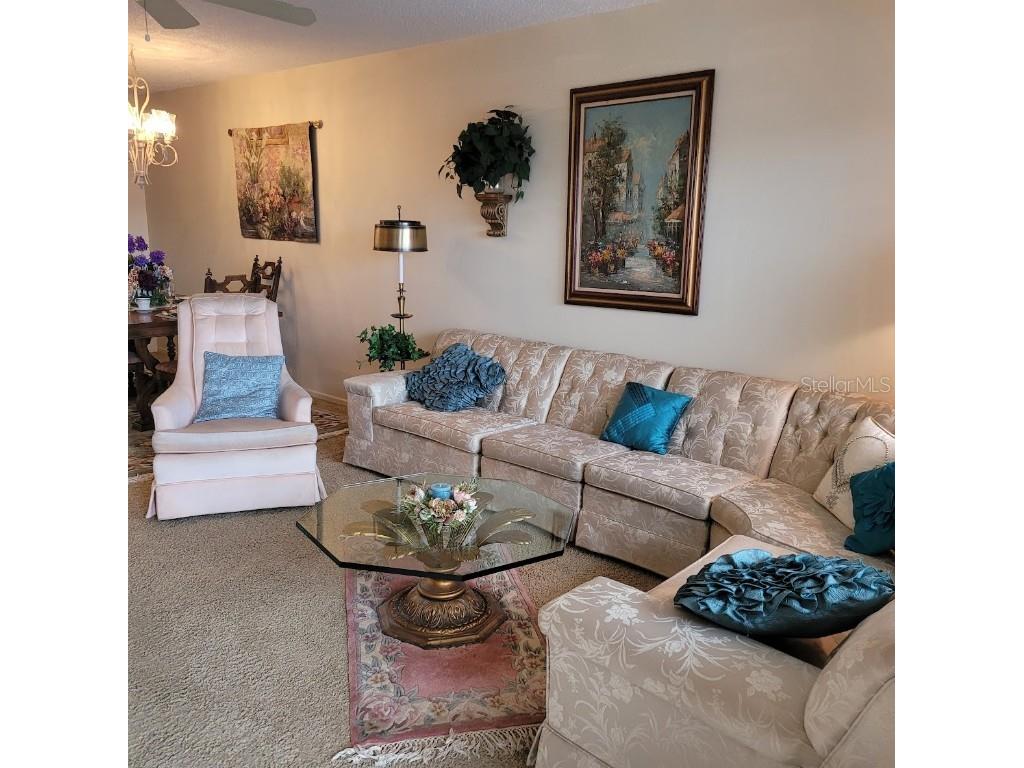 4920 Locust Street NE #203 Saint Petersburg FL 33703 TB8432867 image6