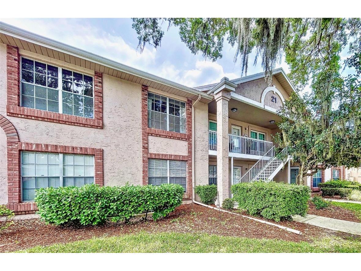 4920 Myrtle Oak Drive #24 New Port Richey FL 34653 T3440729 image1