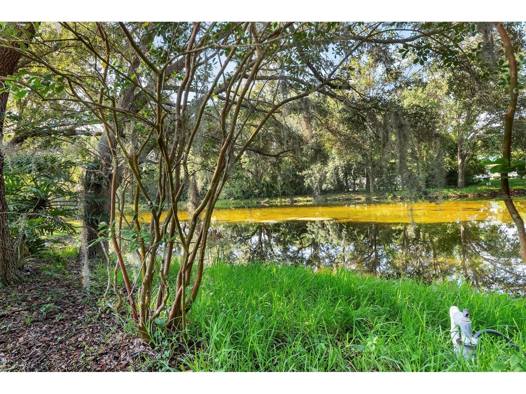 4920 Old Oakleaf Drive Sarasota FL 34233 A4686172 image34