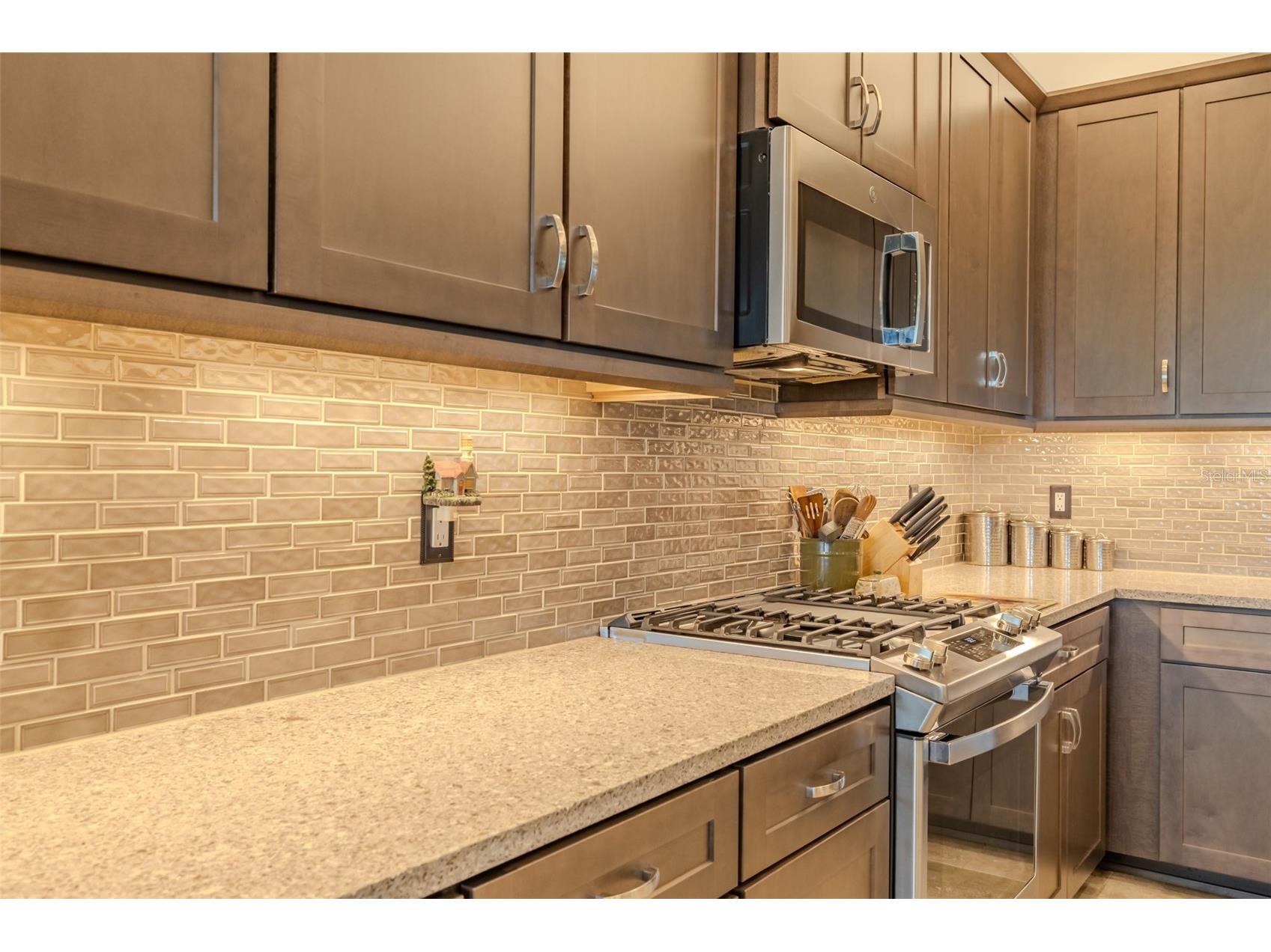 4920 Sevilla Shores Drive Wimauma FL 33598 TB8472958 image22