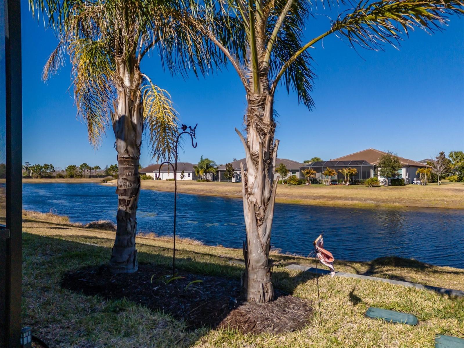 4920 Sevilla Shores Drive Wimauma FL 33598 TB8472958 image47