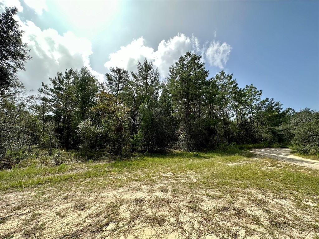 4920 W Cedar Hill Street Dunnellon FL 34433 OM666354 image1