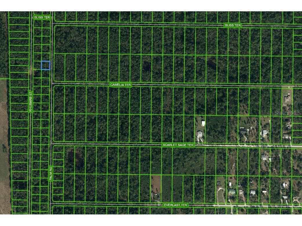 4921 Palm Road Sebring FL 33875 C7474010 image1