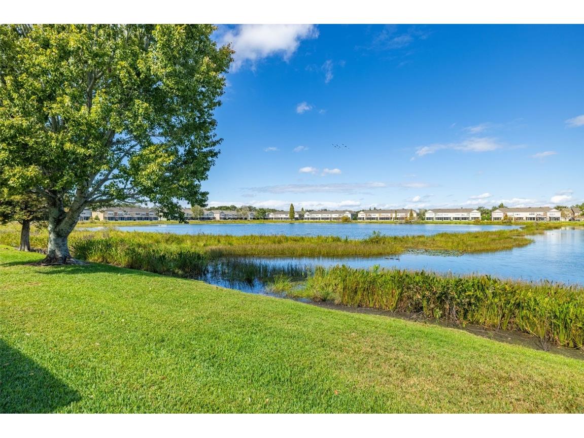 4921 Pond Ridge Drive Riverview FL 33578 TB8445784 image29