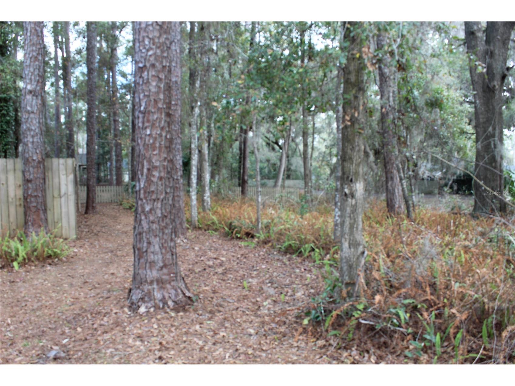 4921 SW 83rd Terrace Gainesville FL 32608 GC537549 image22