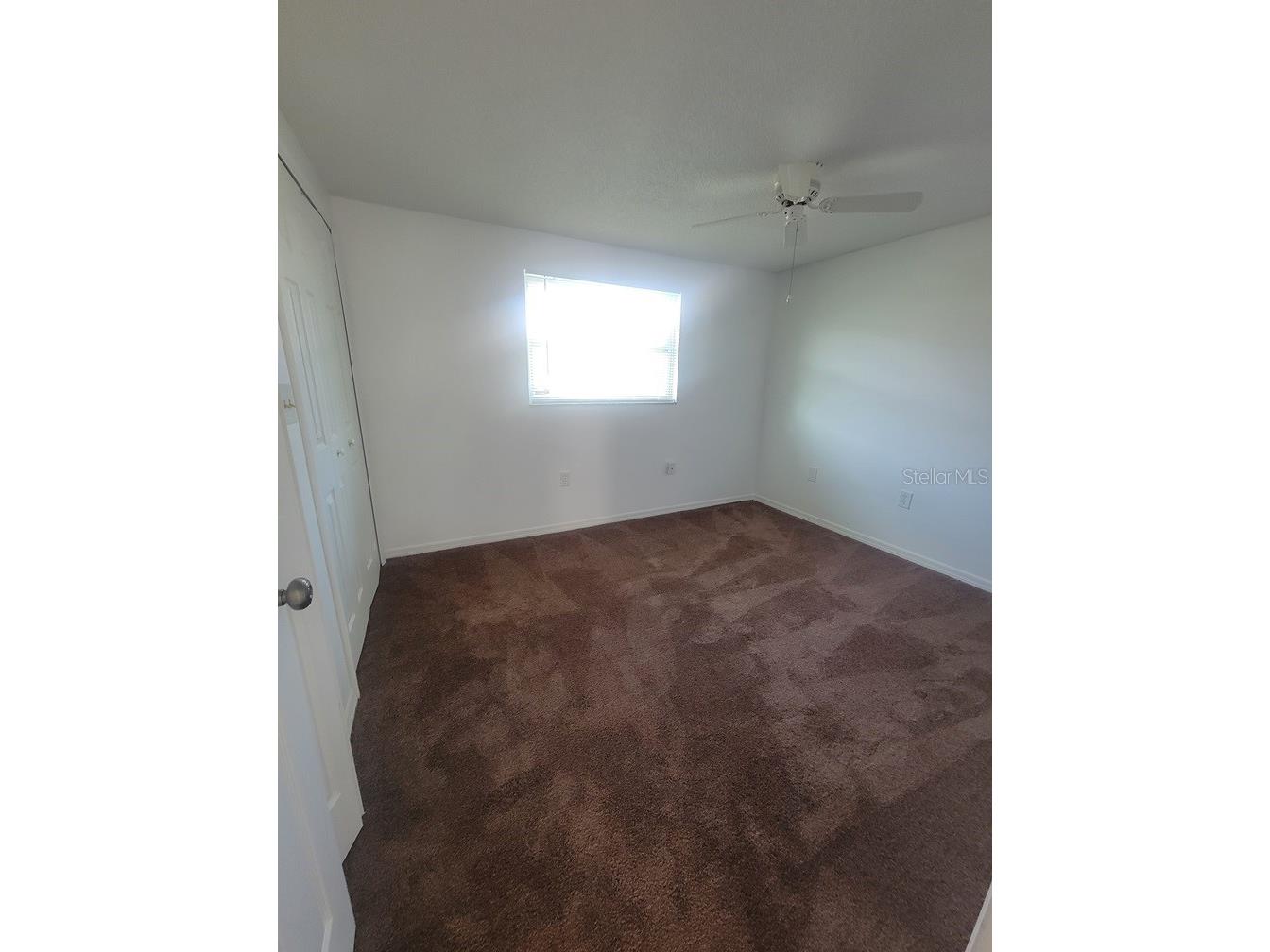 4922 Filner Street New Port Richey FL 34652 W7886176 image8
