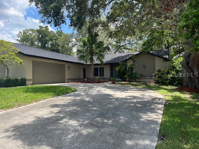 4922 Lake Valencia Boulevard W Palm Harbor FL 34684 U8250139 image1