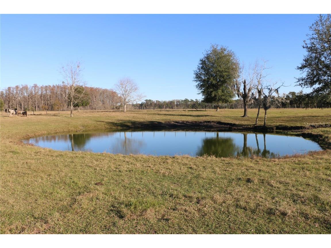 4922 Mount Pleasant Road Groveland FL 34736 O6168257 image1