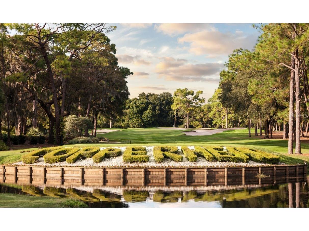 4922 Treeline Drive Palm Harbor FL 34683 A4667803 image16