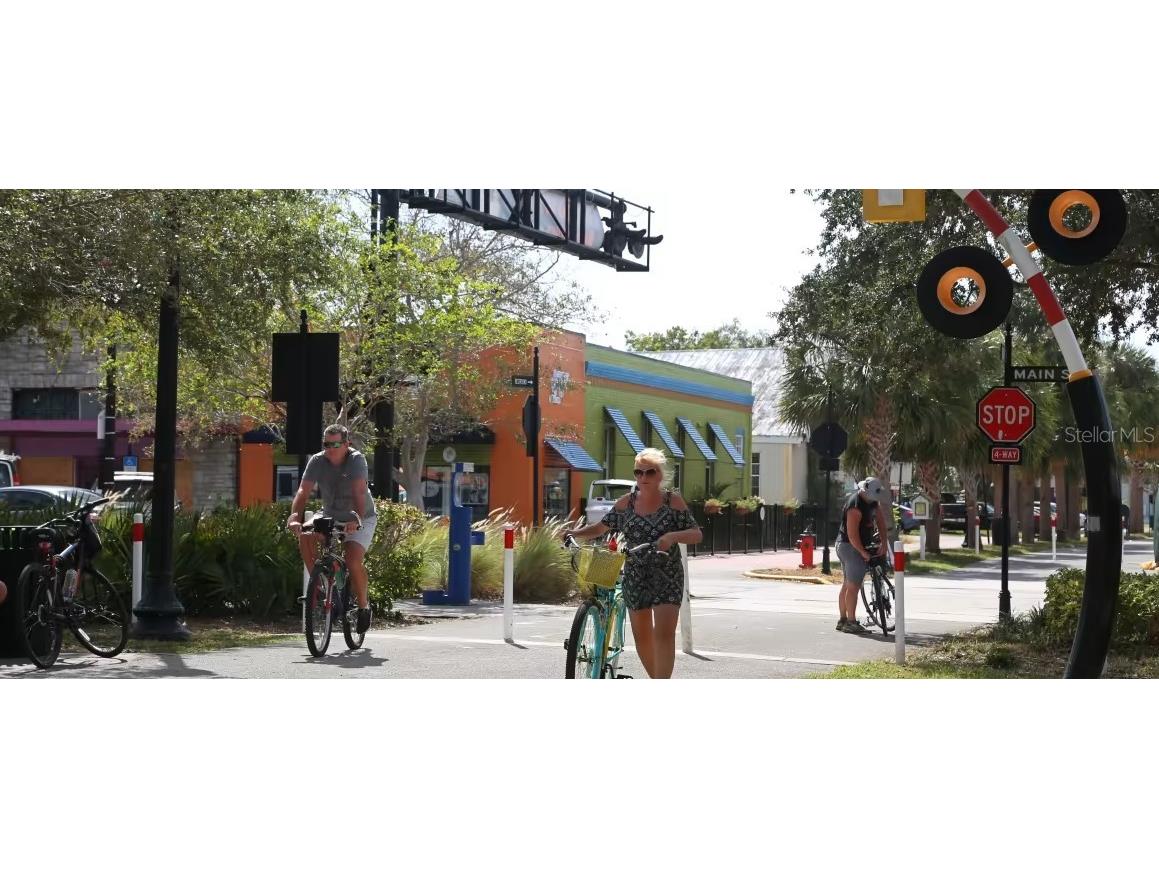 4922 Treeline Drive Palm Harbor FL 34683 A4667803 image30