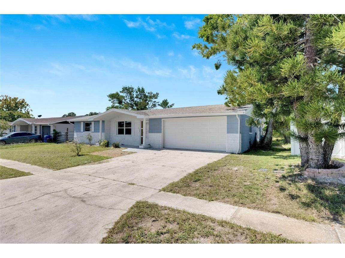 4923 Alcea Street New Port Richey FL 34652 TB8439587 image32