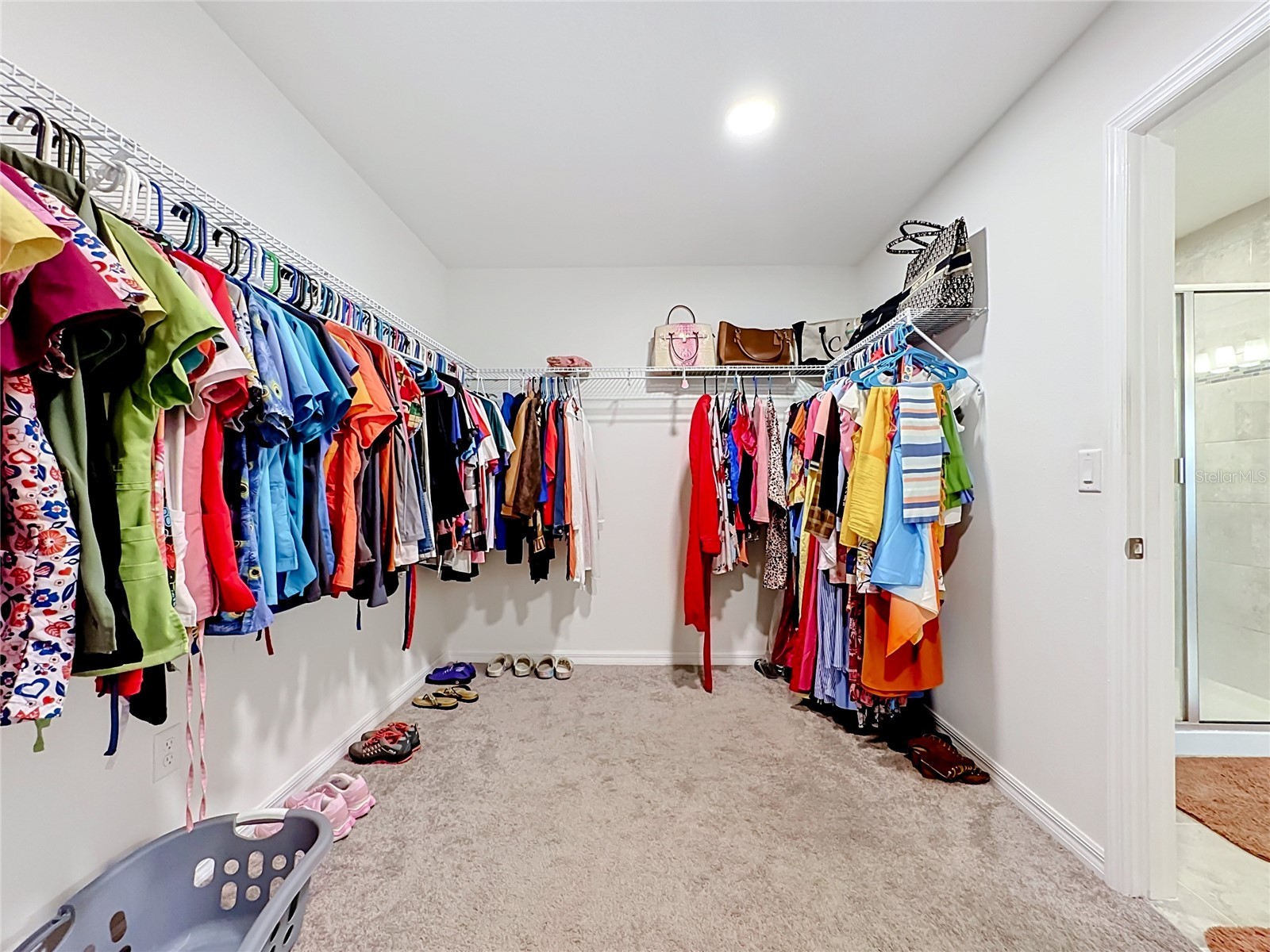 4923 Eagle Rock Drive Wimauma FL 33598 TB8528302 image26