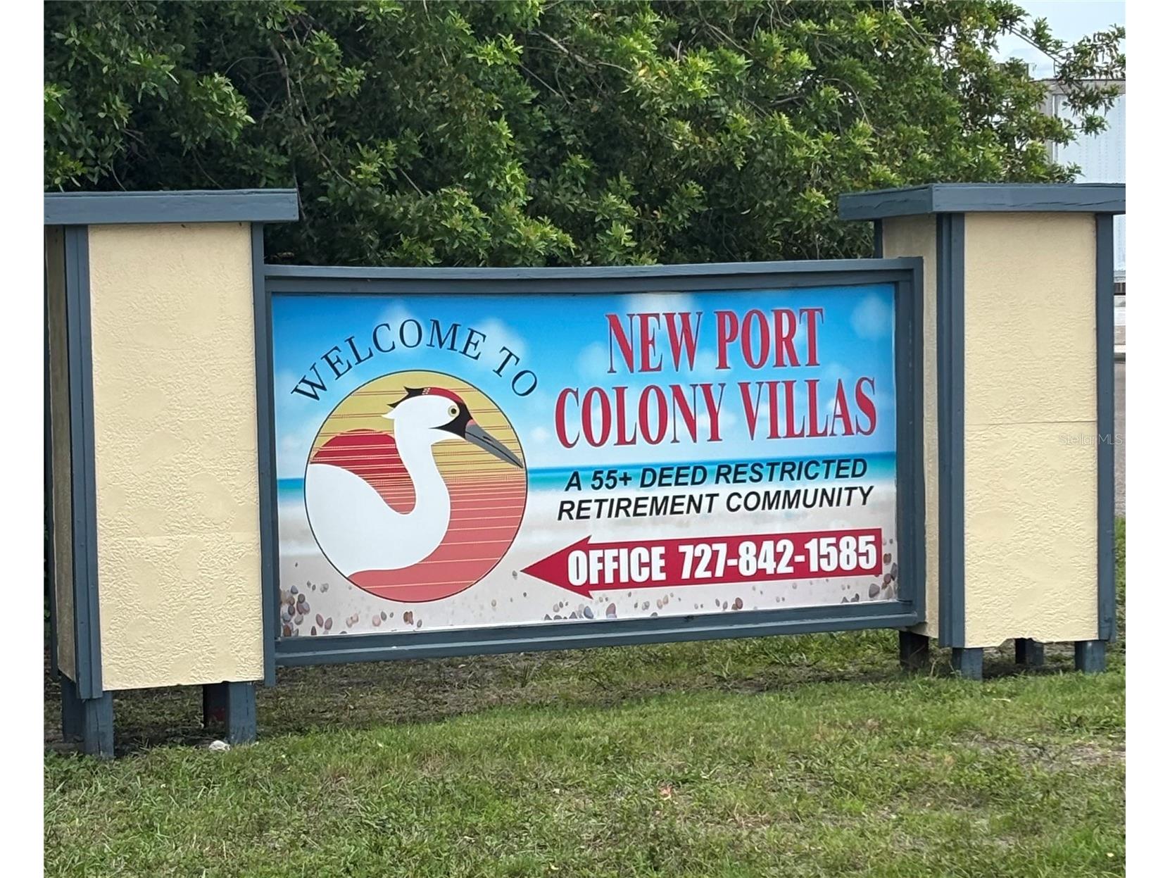 4923 Getner Street New Port Richey FL 34652 TB8518167 image5