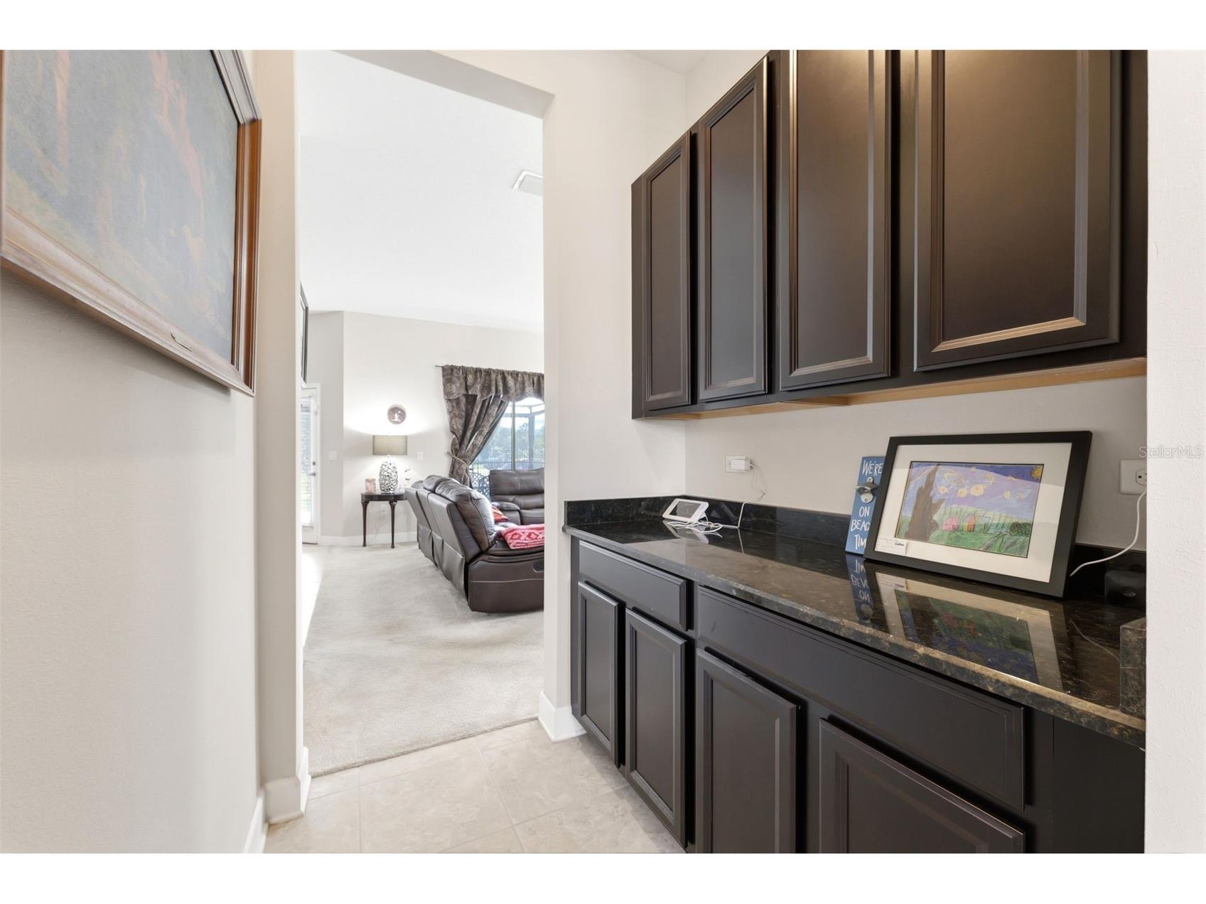 4924 Butler National Drive Wesley Chapel FL 33543 W7884453 image13