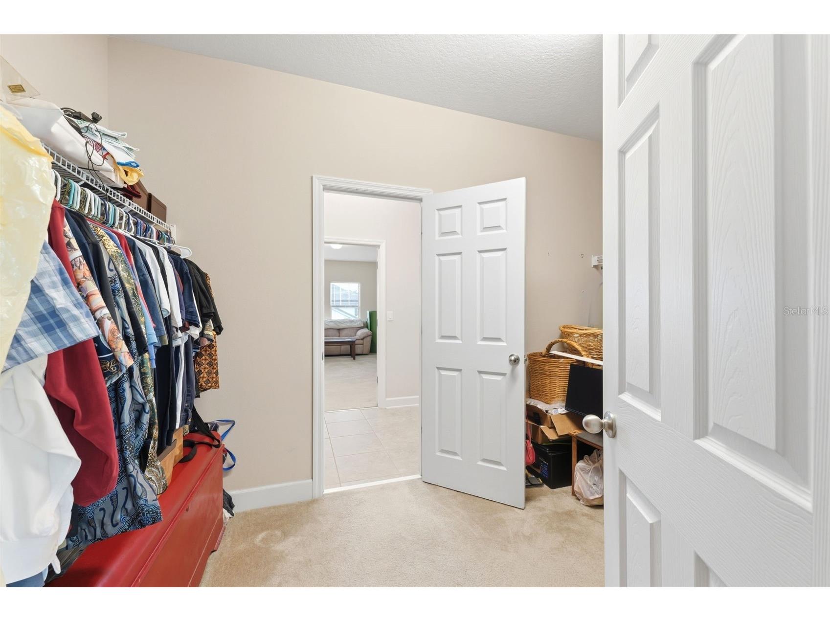 4924 Butler National Drive Wesley Chapel FL 33543 W7884453 image26