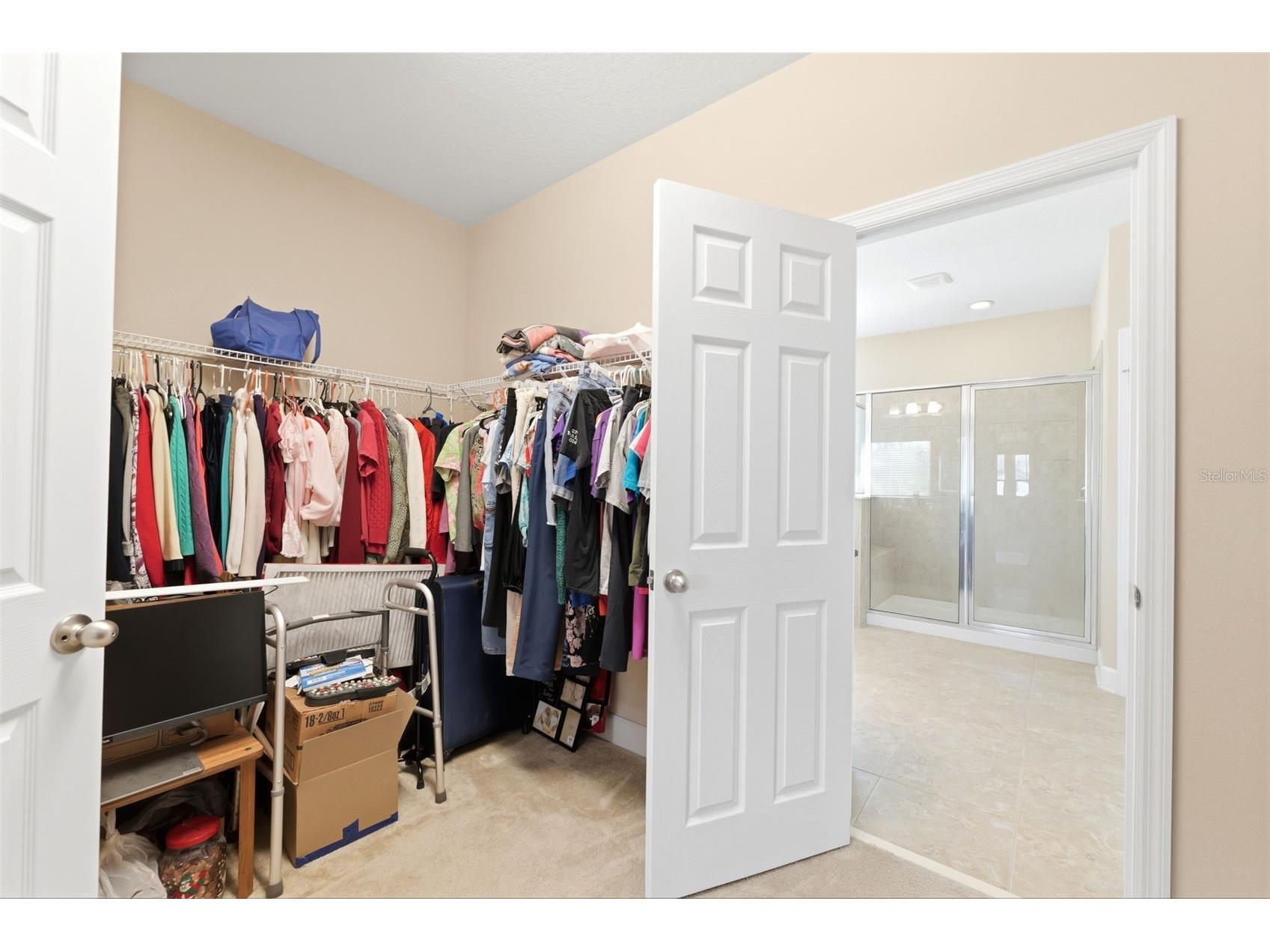 4924 Butler National Drive Wesley Chapel FL 33543 W7884453 image27