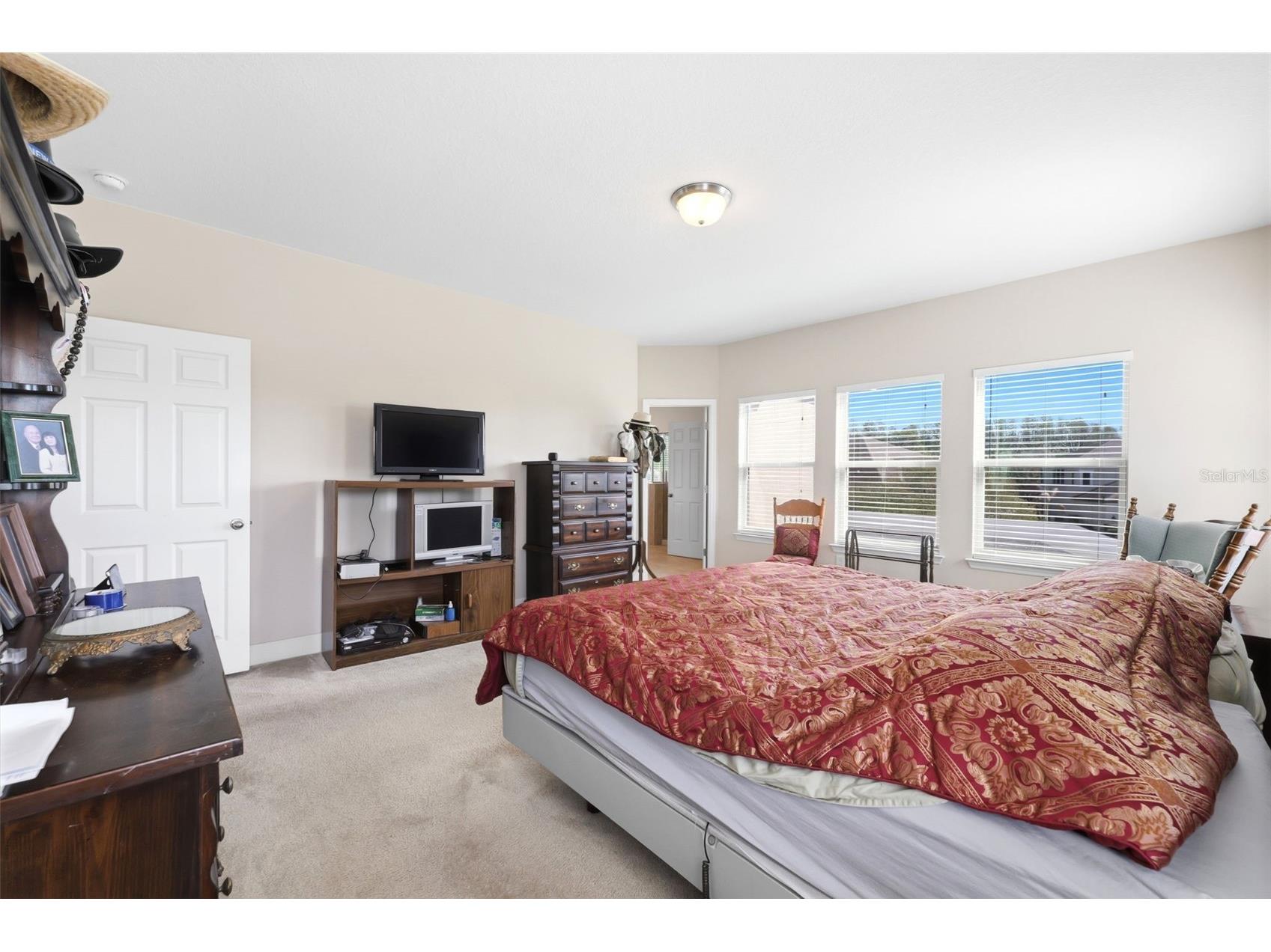 4924 Butler National Drive Wesley Chapel FL 33543 W7884453 image60
