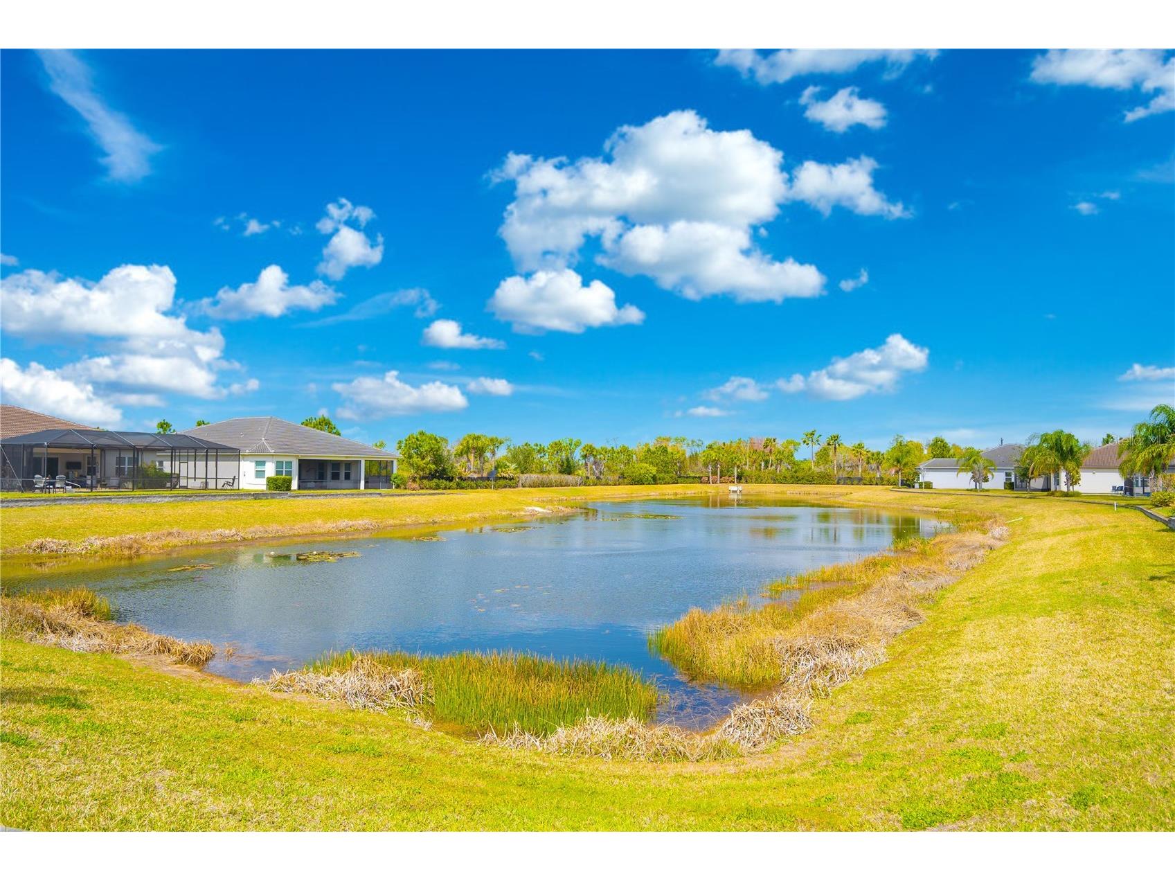 4924 Pamplona Court Wimauma FL 33598 TB8483883 image41