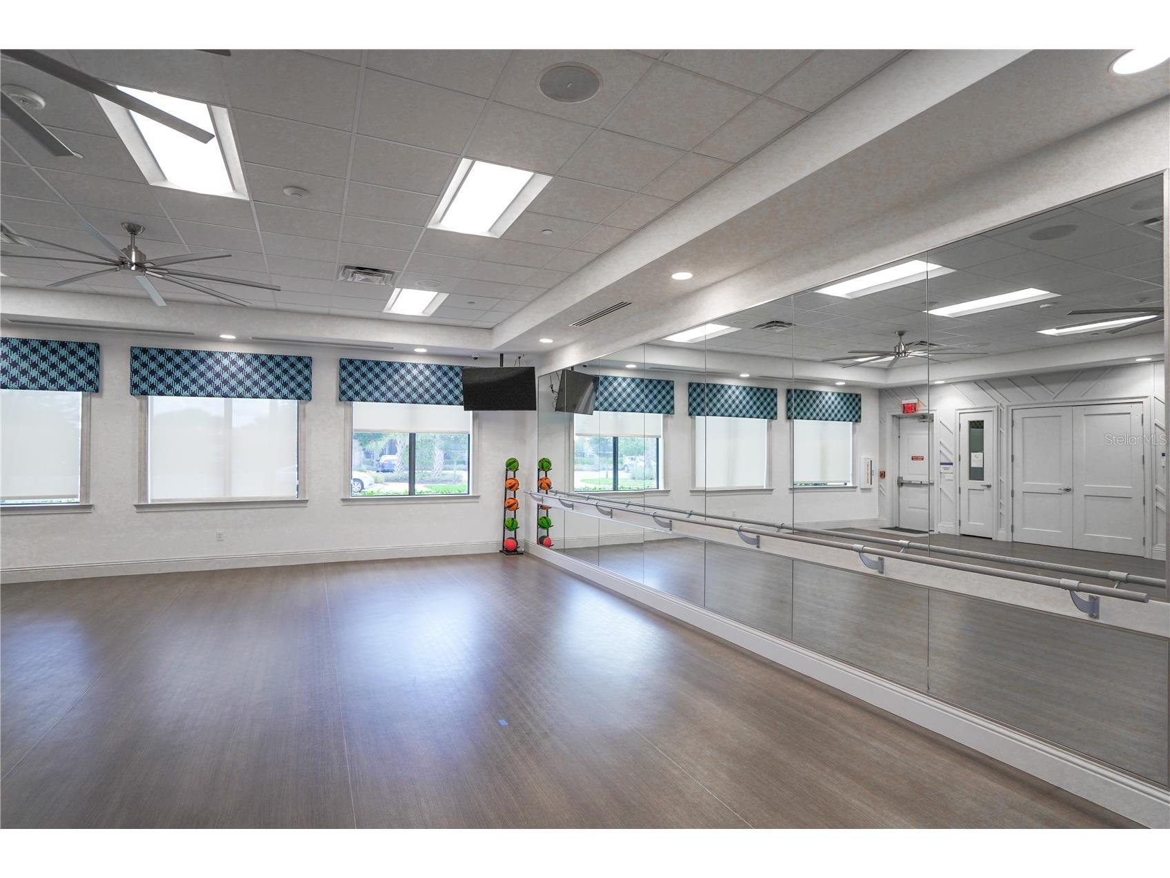 4924 Pamplona Court Wimauma FL 33598 TB8483883 image66