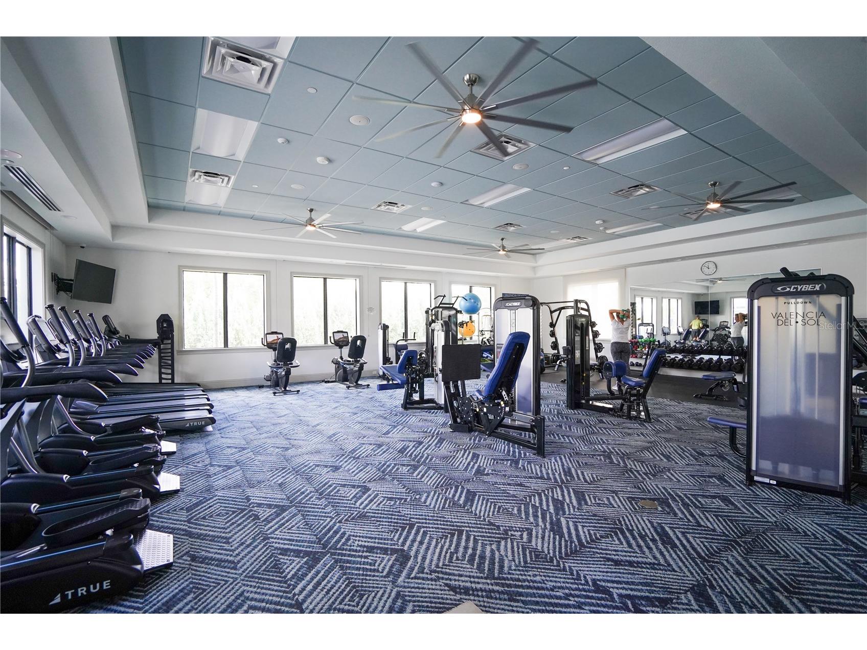 4924 Pamplona Court Wimauma FL 33598 TB8483883 image67
