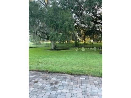 4924 Raylene Way Saint Cloud FL 34771 S5138518 image12