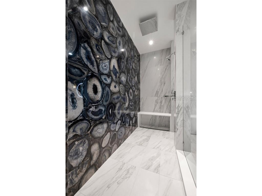 4924 W San Rafael Street Tampa FL 33629 TB8447640 image48