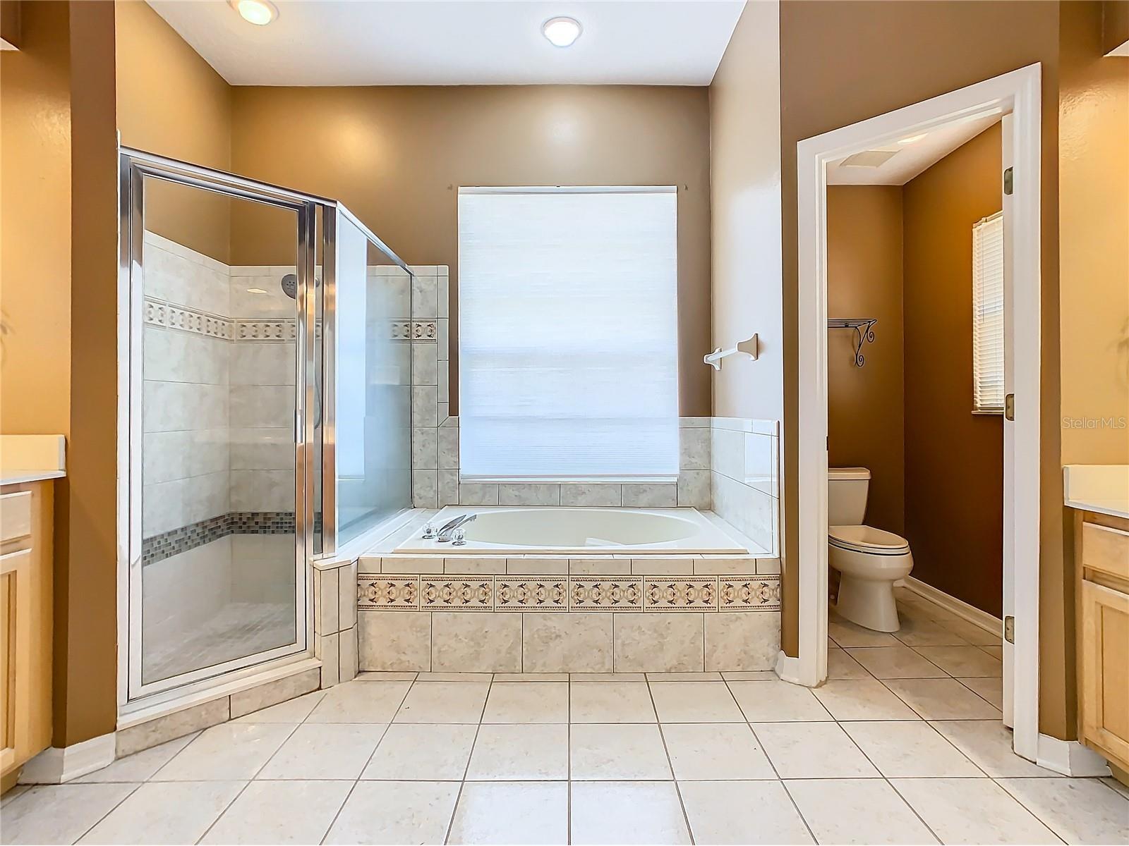 4925 Brightmour Circle Orlando FL 32837 O6410614 image43