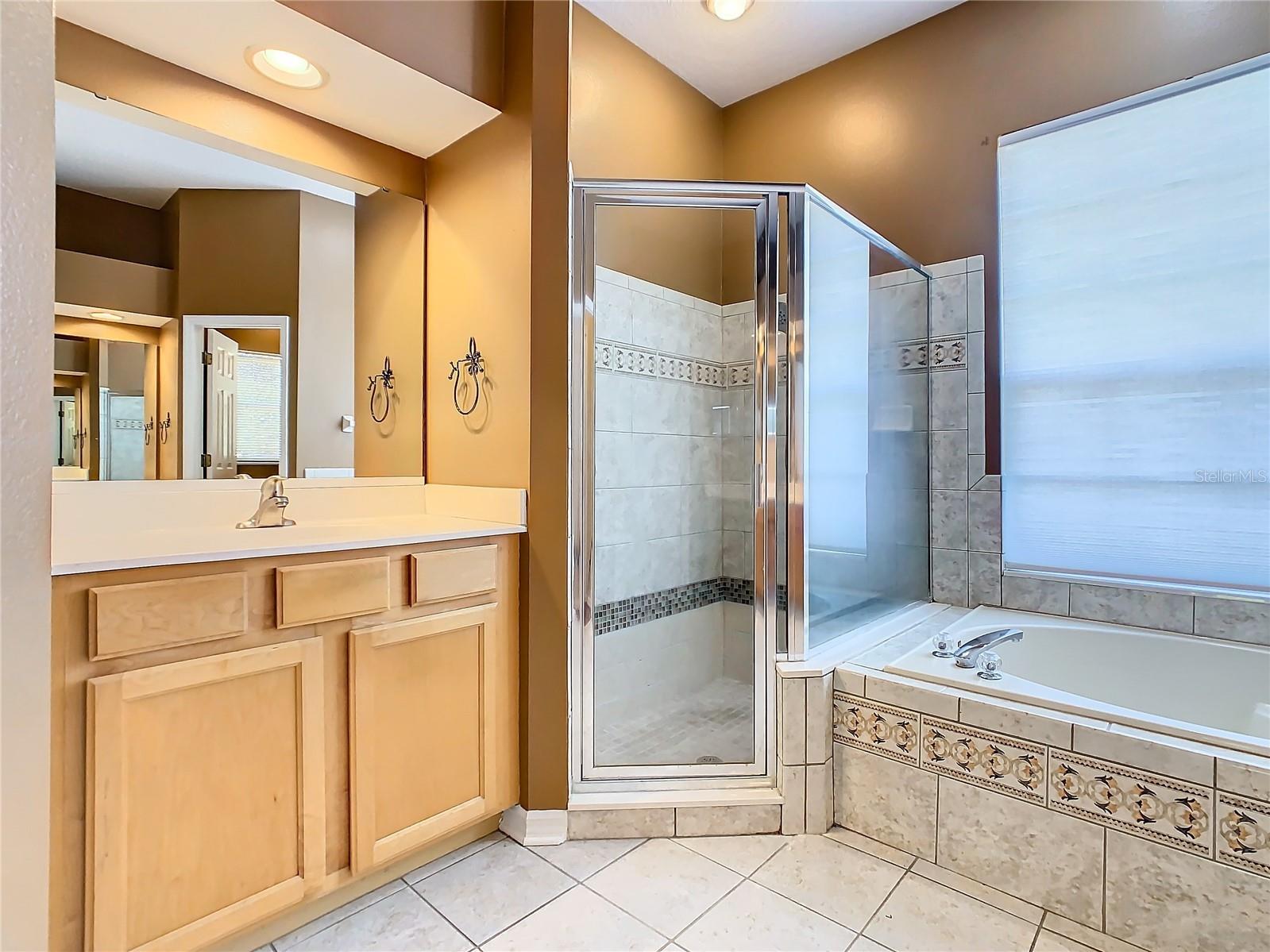 4925 Brightmour Circle Orlando FL 32837 O6410614 image45