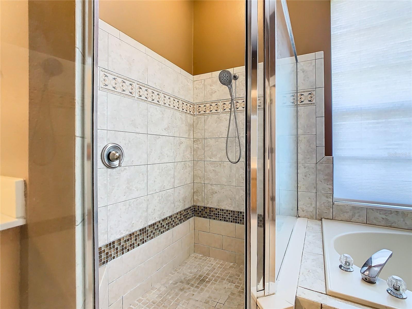4925 Brightmour Circle Orlando FL 32837 O6410614 image46