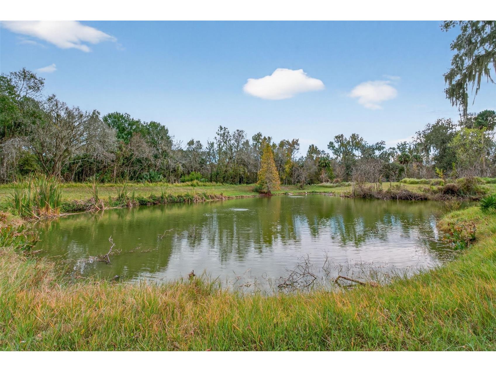 4925 Hamilton Road Lakeland FL 33811 - MORGAN CREEK ENGLISH CREEK TB8466548 image5