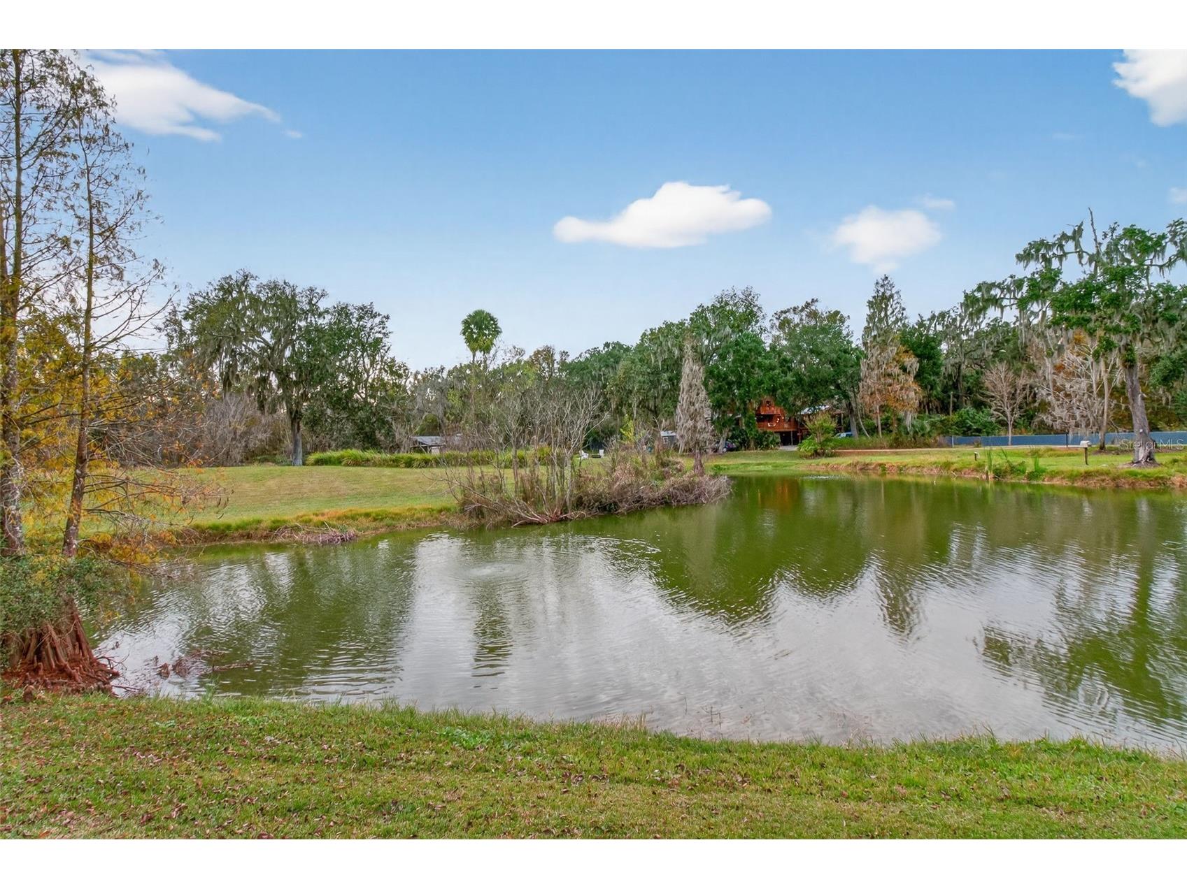 4925 Hamilton Road Lakeland FL 33811 - MORGAN CREEK ENGLISH CREEK TB8466548 image54