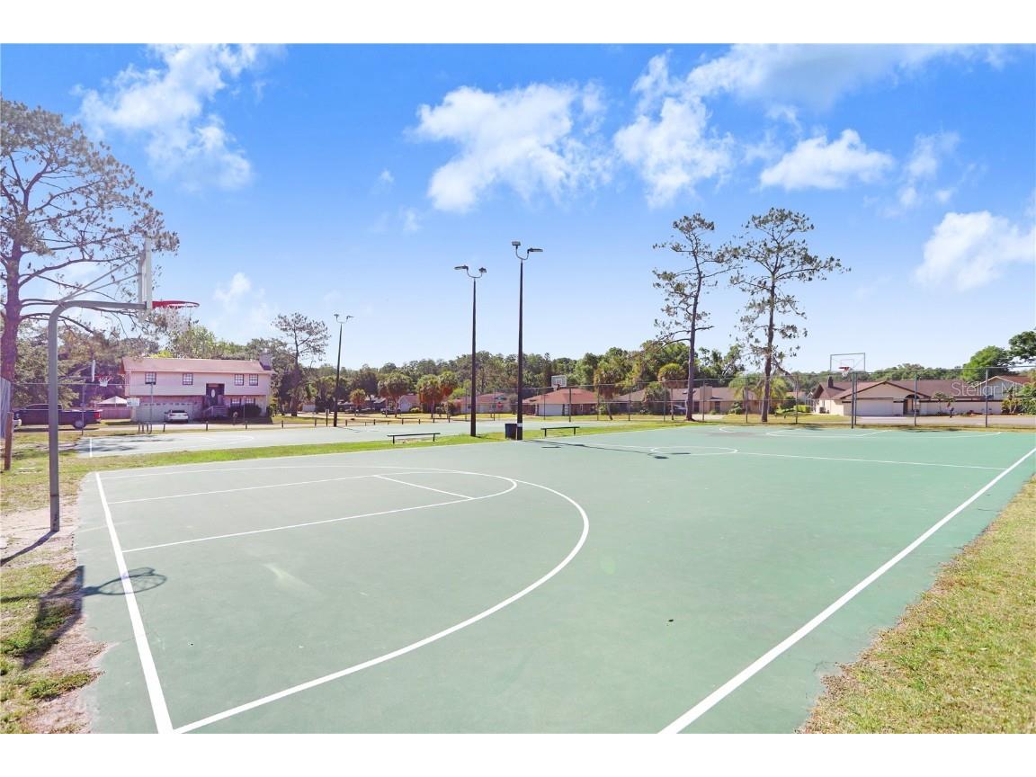 4925 Ivy Glen Place Land O Lakes FL 34639 TB8443501 image43