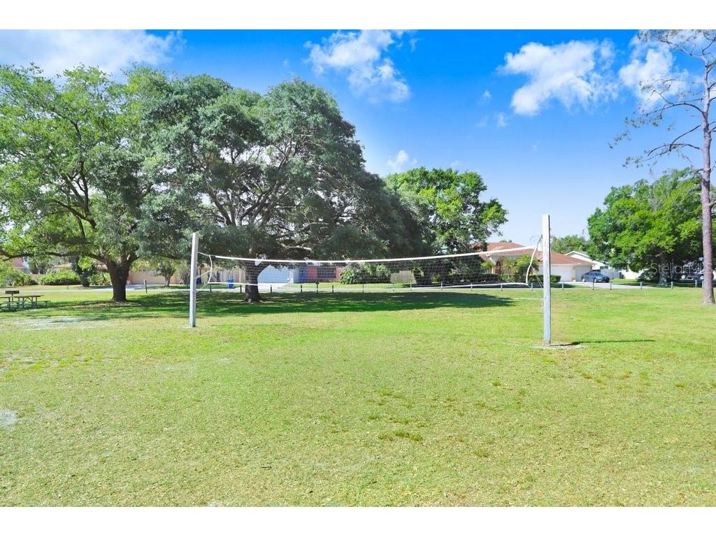 4925 Ivy Glen Place Land O Lakes FL 34639 TB8443501 image44