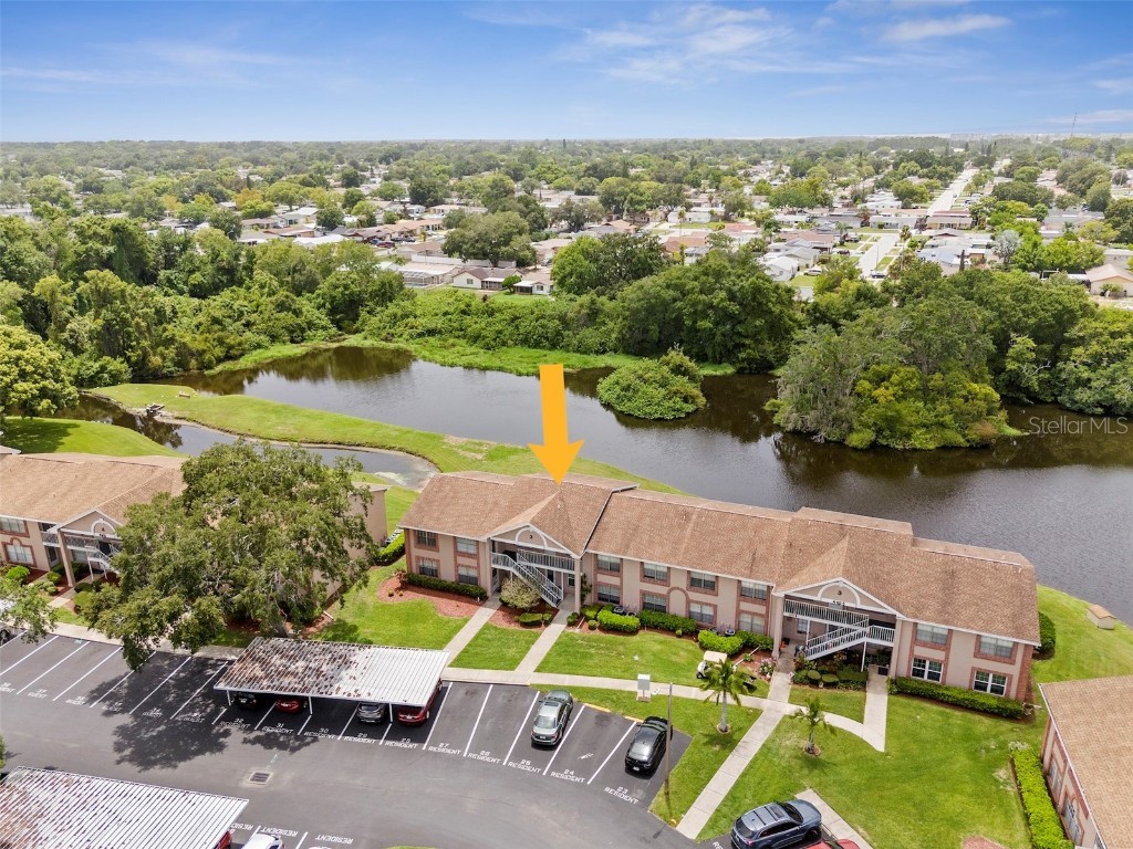 4925 Myrtle Oak Drive #21 New Port Richey FL 34653 W7866436 image1